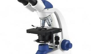 显微镜的结构与使用方法